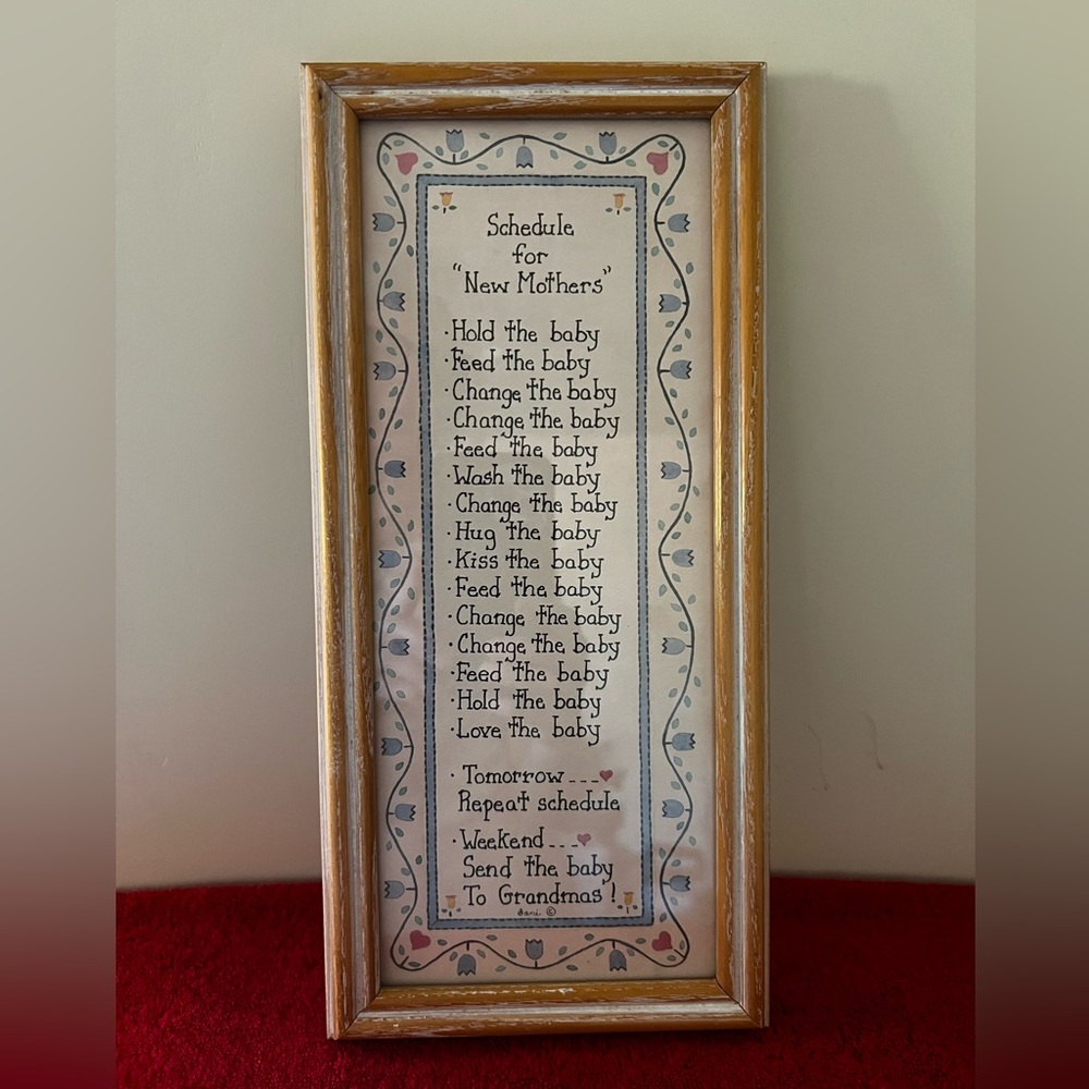 Vintage Wood Framed New Mothers Schedule Wall Art